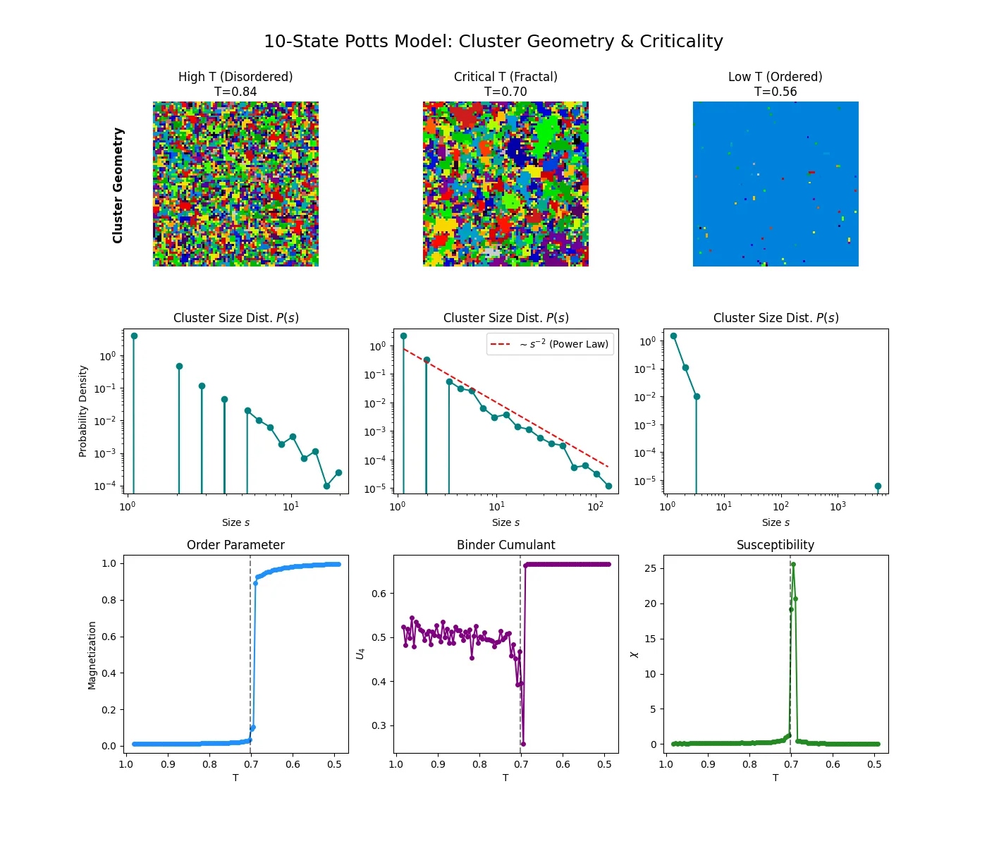 Dashboard showing cluster geometry, size distribution, and phase transition curves for the q=10 Potts model.